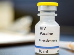Thử nghiệm vaccine HIV cho kết quả khả quan